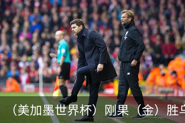 （美加墨世界杯）刚果（金）胜乌兹别克斯坦晋级 韩国无缘32强